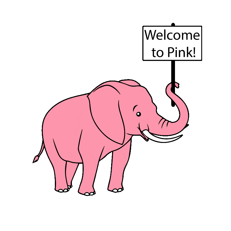 Welcome To Pink 